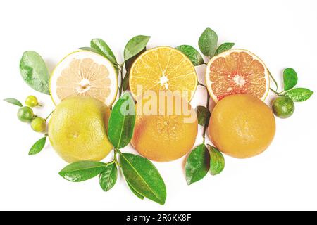 Eine lebhafte Sammlung von Zitrusfrüchten, darunter Orangen, Limetten und Zitronen, ist kunstvoll auf einem weißen Tisch angeordnet Stockfoto