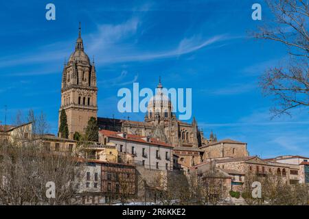 Blick auf die Stadt von der römischen Brücke, Salamanca, UNESCO-Weltkulturerbe, Kastilien und Leon, Spanien, Europa Stockfoto