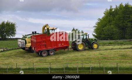 John Deere 6155R-Traktor, Heuwerk auf landschaftlich reizvollen Weidefeldern (Befüllen von gezogenen Wagen, Mähen von Grassilage, Fahren von Landwirten) – England, Großbritannien. Stockfoto