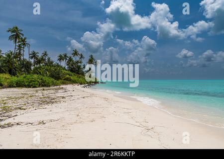 Weißer Sandstrand auf Bangaram Island, Lakshadweep Archipel, Unionsgebiet Indien, Indischer Ozean, Asien Stockfoto