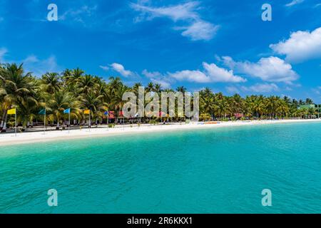 Weißer Sandstrand mit vielen Flaggen, Bangaram Island, Lakshadweep Inselgruppe, Unionsgebiet Indien, Indischer Ozean, Asien Stockfoto