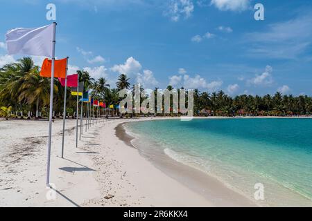 Weißer Sandstrand mit vielen Flaggen, Bangaram Island, Lakshadweep Inselgruppe, Unionsgebiet Indien, Indischer Ozean, Asien Stockfoto