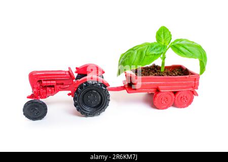 Nahaufnahme eines Miniatur-Spielzeugtraktors mit einem frischen Keim im Rücken isoliert auf weiß. Hintergrund Landwirtschaft und Gartenbau. Stockfoto