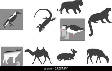 Mehrere Tierabbildungen und Silhouetten können separat verwendet werden Stock Vektor