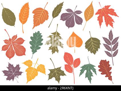 Zeichnungssatz mit verschiedenen Blättern in Herbstfarben. Alle Objekte werden isoliert und gruppiert. Farben und transparente Hintergrundfarbe sind einfach... Stock Vektor