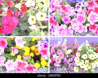 Bunte Blumenmotive für Hintergründe und Texturen oder Stoffe. Blühende Blüten in violett-rosa-grün-rot-gelber Farbgebung für Innenräume und Textilien Stockfoto