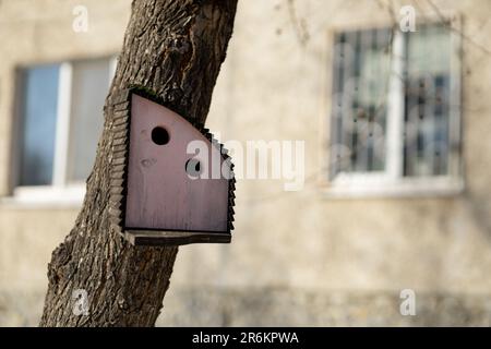 Helles, mehrfarbiges Haus für Vögel, die an einem Baum hängen Stockfoto