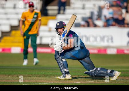 Wayne Madsen schlägt für Derbyshire in einem Vitality Blast T20-Spiel gegen Nottinghamshire Outlaws. Stockfoto