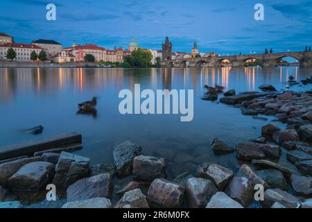 Enten in der Moldau in der Nähe der Karlsbrücke in der Abenddämmerung, Prag, Tschechische Republik (Tschechien), Europa Stockfoto