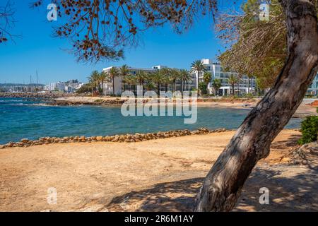 Blick auf den Strand von Cala Nieves mit Blick auf Santa Eularia des Riu, Ibiza, Balearen, Spanien, Mittelmeer, Europa Stockfoto