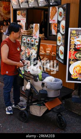 YOKOHAMA JAPAN Stockfoto