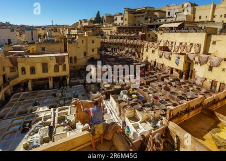 Marokko. Fez. Die Chouara Gerberei ist die größte der vier traditionellen Gerbereien, die noch im Herzen der Medina von Fez el-Bali zu finden sind. Stockfoto