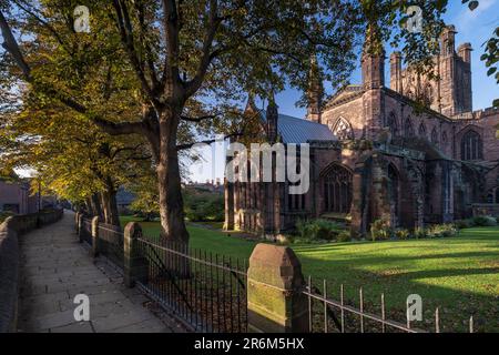 Chester Cathedral and the City Walls im Herbst, Chester, Cheshire, England, Vereinigtes Königreich, Europa Stockfoto