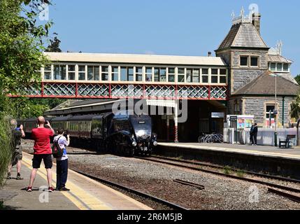 LNER Class A4 Pacific No. 60007 Sir Nigel Gresley, der am 3. Juni 2023 durch den Bahnhof Torquay mit dem Aussenabschnitt des englischen Riviera Express fährt. Stockfoto