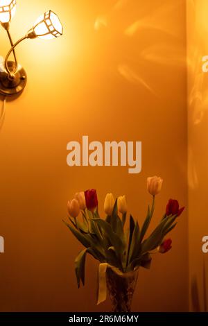 Ein Strauß Tulpen auf dem Nachttisch im Licht der Wandleuchter im Schlafzimmer Stockfoto