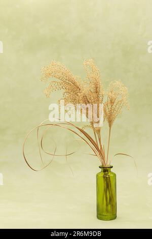 Getrocknetes Blumengetreide in einer Dose auf einem wässrigen grünen Hintergrund Stockfoto