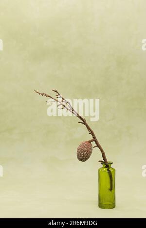 Getrocknetes Blumengetreide in einer Dose auf einem wässrigen grünen Hintergrund Stockfoto