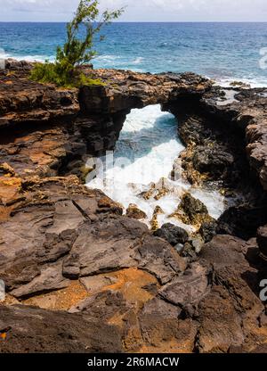 Makahuena Sea Arch, Poipu, Koloa, Kauai, Hawaii, USA Stockfoto