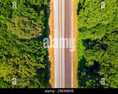 Luftaufnahme auf Eisenbahnschienen im Wald Stockfoto
