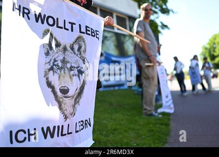 Aurich, Deutschland. 10. Juni 2023. Gegendemonstratoren stehen vor dem Ereignis auf den Zufahrtsstraßen. Die Vereinigungen Land schafft Verbindung (LSV) Ostfriesien und der friesische Naturschutzverband (FVN) haben eine Demonstration gegen die aktuelle Wolfspolitik gefordert. Kredit: Lars Penning/dpa/Alamy Live News Stockfoto