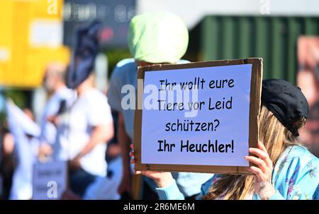Aurich, Deutschland. 10. Juni 2023. Ein Gegenvorführer hält ein Schild vor dem Ereignis mit der Aufschrift „Sie wollen Ihre Tiere vor Leiden schützen? Ihr Heuchler!" Die Vereinigungen Land schafft Verbindung (LSV) Ostfriesland und der friesische Naturschutzverband (FVN) haben eine Demonstration gegen die aktuelle Wolfspolitik gefordert. Kredit: Lars Penning/dpa/Alamy Live News Stockfoto