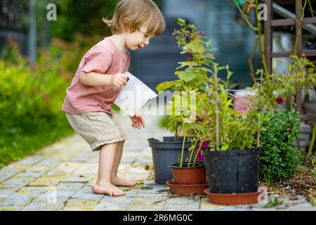 Süßes blondes kleines Kleinkind, das im Garten im Gießtopf Pflanzen gießt. Ein Kind, das Eltern beim Gärtnern im Garten hilft, in der Sonne Stockfoto