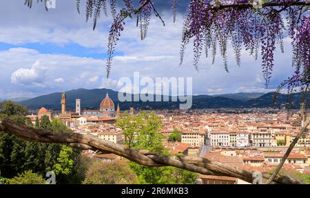 Frühlingsblick auf Florenz in Italien: Kathedrale Santa Maria del Fiore aus Sicht des Bardini-Gartens mit typischer Wisteria in Blüte. Stockfoto