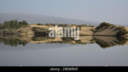 Wunderschöne Aussicht auf Dünen im Wasser, besonderes Naturschutzgebiet von Maspalomas, Kanarische Inseln, Spanien Stockfoto