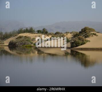 Wunderschöne Landschaft mit Dünen im Wasser, Charca von Maspalomas, Gran Canaria, Kanarische Inseln Stockfoto