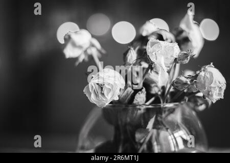 Strauß verwitterter Rosen, schwarz-weiß. Kleine trockene Rosen in Vase, monochrom. Weiße Blumen schließen sich. Welkendes Konzept. Trauriges Liebeskonzept. Stockfoto