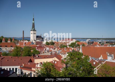 Ein wunderschöner Blick über die Stadt Tallinn mit Kirchturm Stockfoto