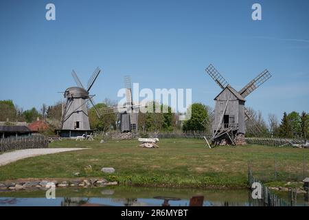 Ein paar alte Windmühlen auf der Insel Saaremaa in Estland Stockfoto