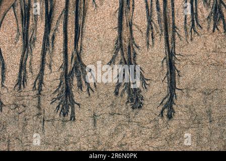 Vollformataufnahme von Sandstrand mit abstrakten Mustern in Costa Rica Stockfoto