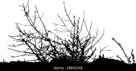 buchse / Silhouette / Vektor ideal für Ihren Einsatz Stock Vektor