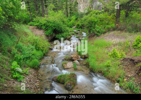 stromschnellen im Forellen-Creek-Canyon über dem Campingplatz der Selbstjustizler in der Nähe von york, montana Stockfoto