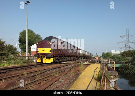 West Coast Railways Klasse 37 loco 37706 an der Rückseite der 1Z68 0732 Cleethorpes nach Morpeth Service über den Stainforth & Keadby Kanal am 10/6/23. Stockfoto