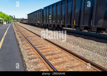 Güterwaggons warten am Bahnhof in Albany, Oregon, USA auf eine Lokomotive Stockfoto