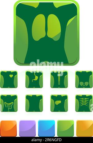 Set mit 9 verschiedenen Röntgenstrahlen – grüne quadratische Ausführung Stock Vektor