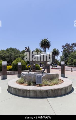 Mustang-Skulptur auf dem Campus der California Polytechnic State University Stockfoto