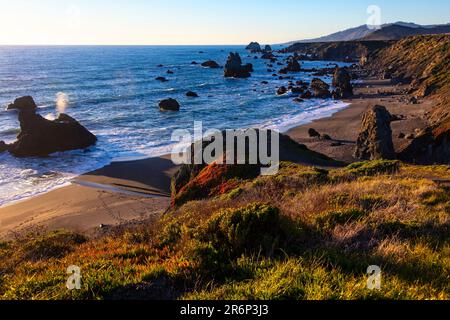 Coastal Bluffs An Der Sonoma Coast, Kalifornien Stockfoto