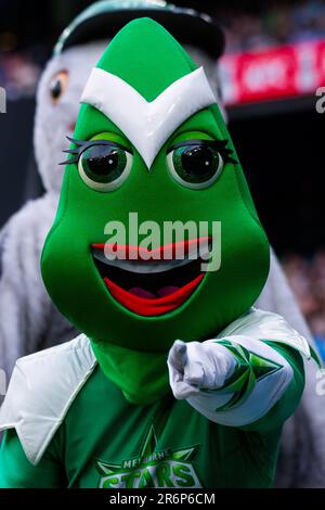 MELBOURNE, AUSTRALIEN - 18. JANUAR: Starlet während des Cricketspiels der Big Bash League zwischen Melbourne Stars und Perth Scorchers auf dem Melbourne Cricket Ground am 18. Januar 2020 in Melbourne, Australien. Stockfoto