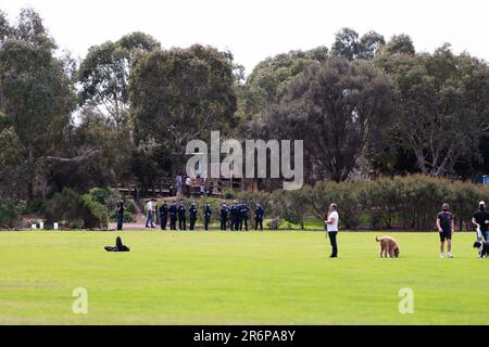 MELBOURNE, VIC - SEPTEMBER 19: Die Polizei von Public Order Response steht bereit, während der Proteste zur Freiheit am 19. September 2020 in Melbourne, Australien, mit ihren Hunden spazieren gehen. Jeden Samstag und Sonntag finden in Melbourne Freiheitsproteste statt, die auf die COVID-19-Beschränkungen der Regierungen und die fortgesetzte Aufhebung der Freiheitsrechte zurückzuführen sind, obwohl neue Fälle im Rückgang begriffen sind. Victoria verzeichnete weitere 21 neue Fälle über Nacht zusammen mit 7 Todesfällen. Stockfoto