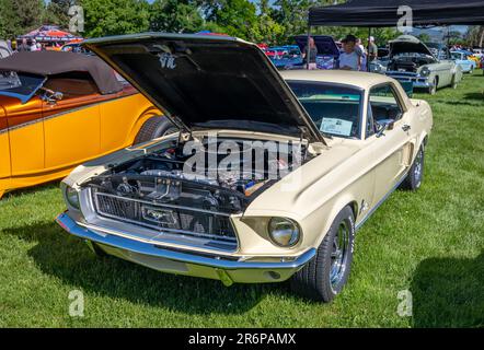 Canon City, CO, USA - 10. Juni 2023: Oldtimer und die Pooople, die sie auf der jährlich stattfindenden Canon Car Club Show 41. auf dem Gelände der Abbey anziehen. Stockfoto