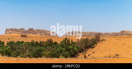 Dünen und Date Farm Landschaft Stockfoto