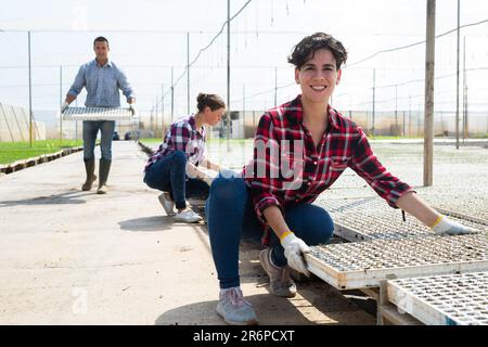 Positive junge Menschen, die mit Kinderkrippen im Gewächshaus arbeiten Stockfoto