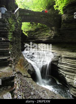 Der Glen Creek fällt über Wasserfälle im Watkins Glen State Park. Stockfoto