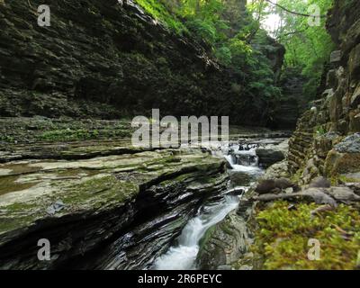 Wasser fließt durch die Schlucht im Watkins Glen State Park in Watkins Glen, New York. Stockfoto