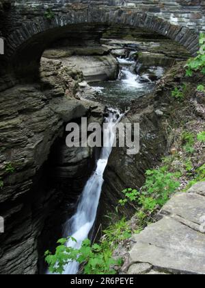 Wasser fließt durch die Schlucht im Watkins Glen State Park in Watkins Glen, New York. Stockfoto