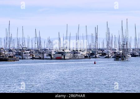 Santa Barbara, Kalifornien, USA. 25. März 2022. Boote am Hafen von Santa Barbara (Kreditbild: © Ian L. SITREN/ZUMA Press Wire) NUR REDAKTIONELLE VERWENDUNG! Nicht für den kommerziellen GEBRAUCH! Stockfoto