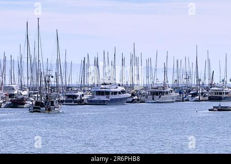 Santa Barbara, Kalifornien, USA. 25. März 2022. Boote am Hafen von Santa Barbara (Kreditbild: © Ian L. SITREN/ZUMA Press Wire) NUR REDAKTIONELLE VERWENDUNG! Nicht für den kommerziellen GEBRAUCH! Stockfoto